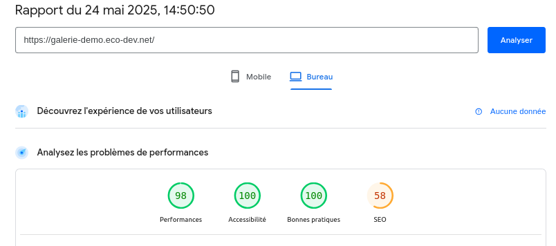 Analyse PageSpeed bureau