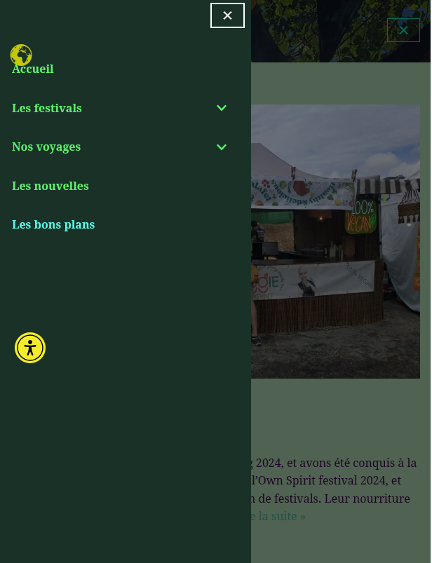 Version mobile