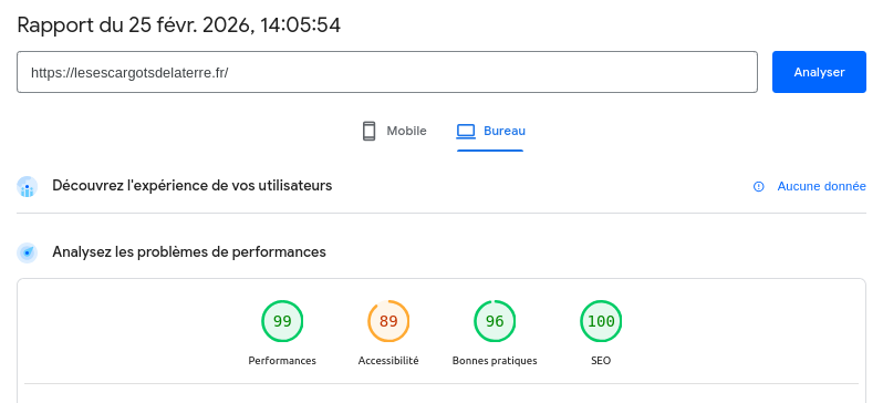 Analyse PageSpeed bureau