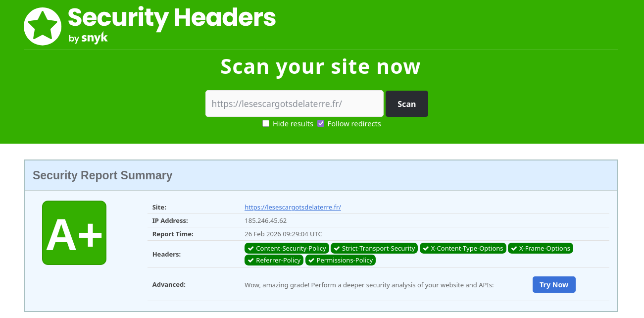Analyse Security Headers
