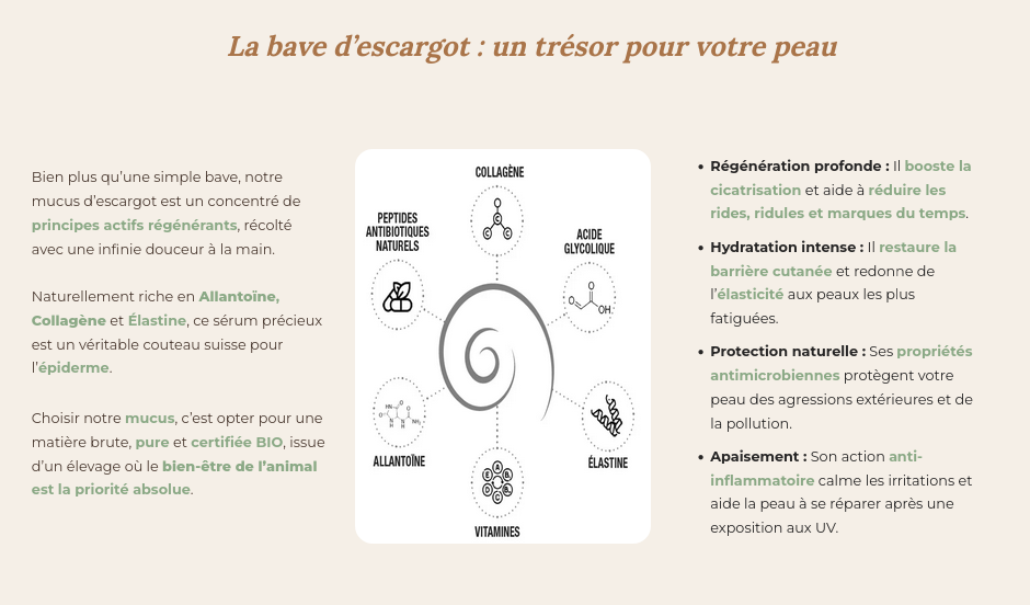 Héliciculture suite