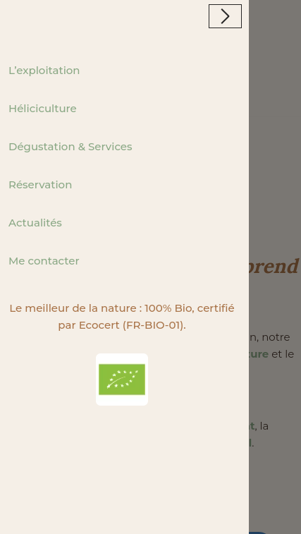 Menu mobile